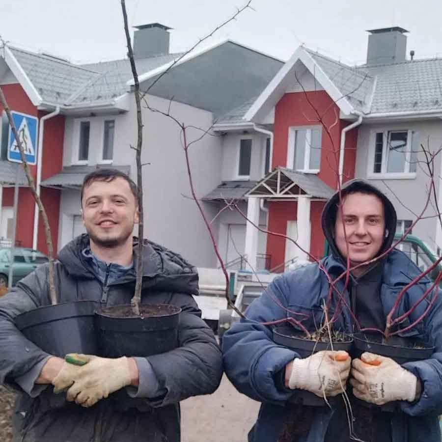 озеленение минск